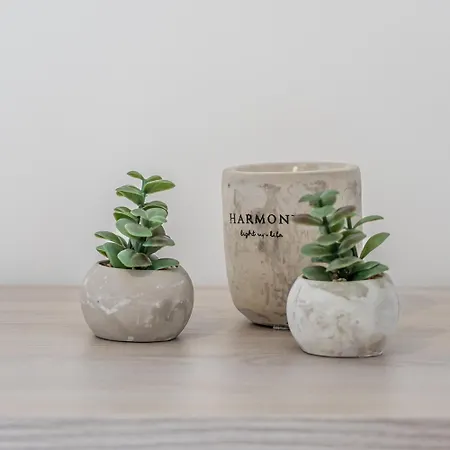 Restful Retreat Modern & Large Spaces *