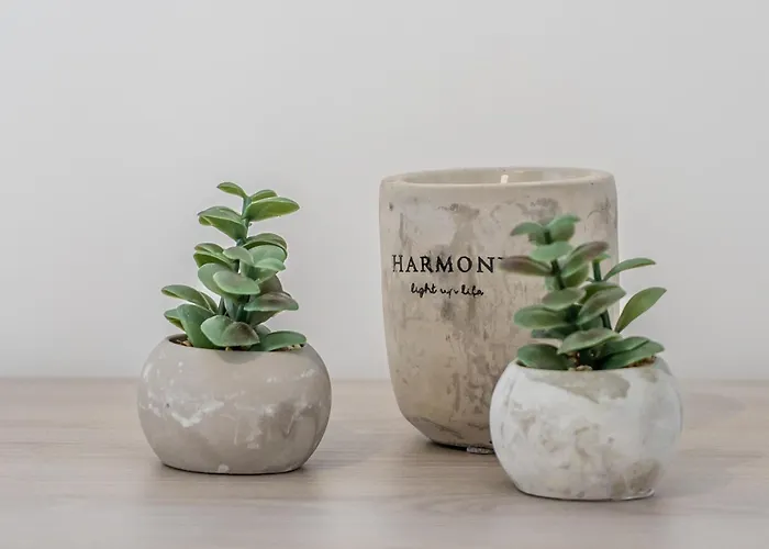 Restful Retreat Modern & Large Spaces *